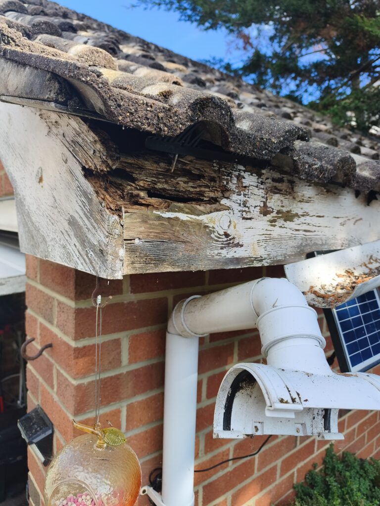 Facia rot removal and repair - Before